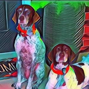 Meet your Posher, Judy